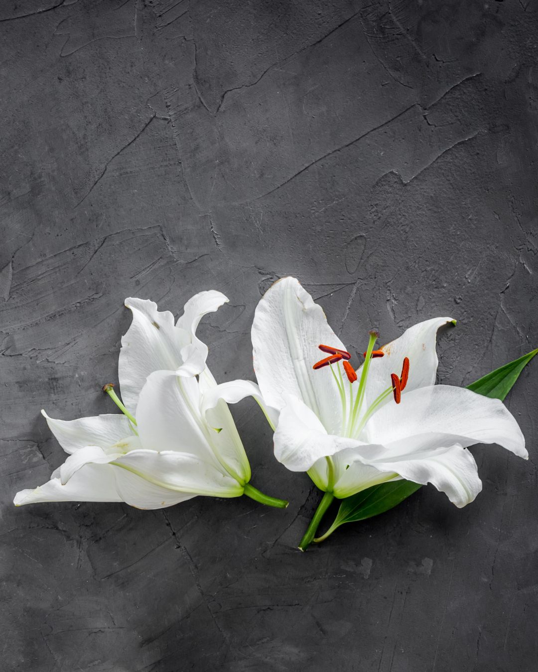 Flowers on casket