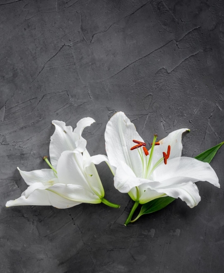 Flowers on casket