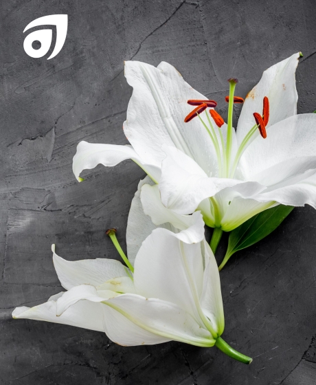 Flowers on casket